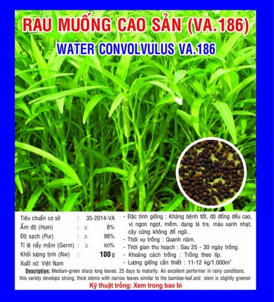 HẠT GIỐNG RAU MUỐNG CAO SẢN
