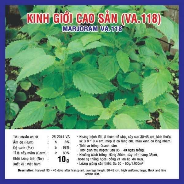 HẠT GIỐNG KINH GIỚI CAO SẢN