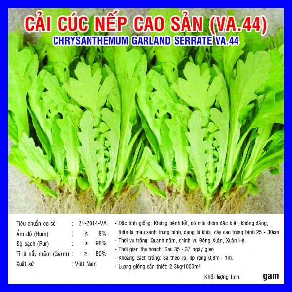 HẠT GIỐNG CẢI CÚC NẾP CAO SẢN