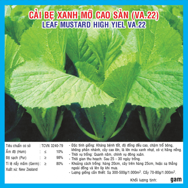 HẠT GIỐNG CẢI BẸ XANH MỠ CAO SẢN