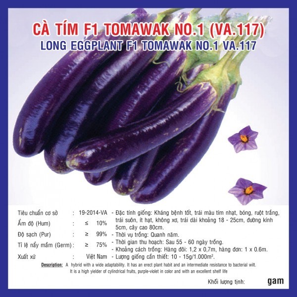 HẠT GIỐNG CÀ TÍM TOMAWAK NO.1