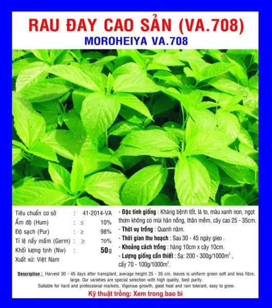 HẠT GIỐNG RAU ĐAY CAO SẢN