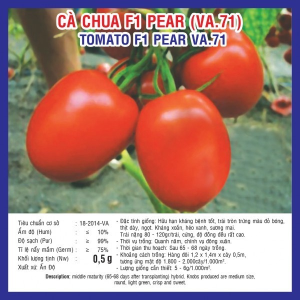 HẠT GIỐNG CÀ CHUA F1 PEAR