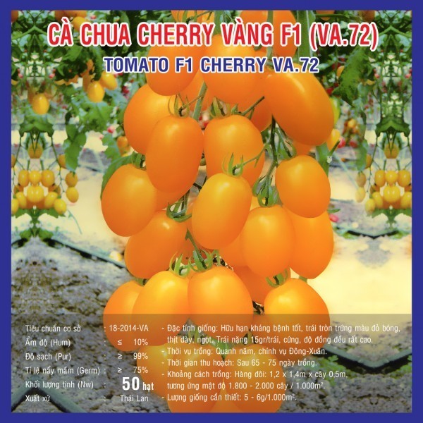 HẠT GIỐNG CÀ CHUA CHERRY VÀNG F1