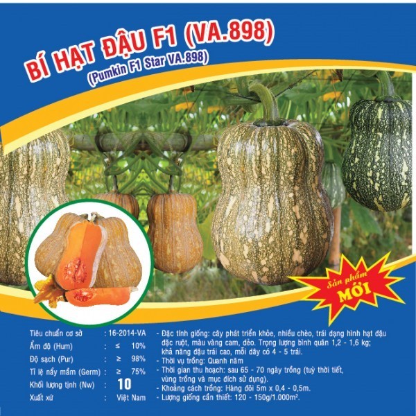 HẠT GIỐNG BÍ HẠT ĐẬU F1