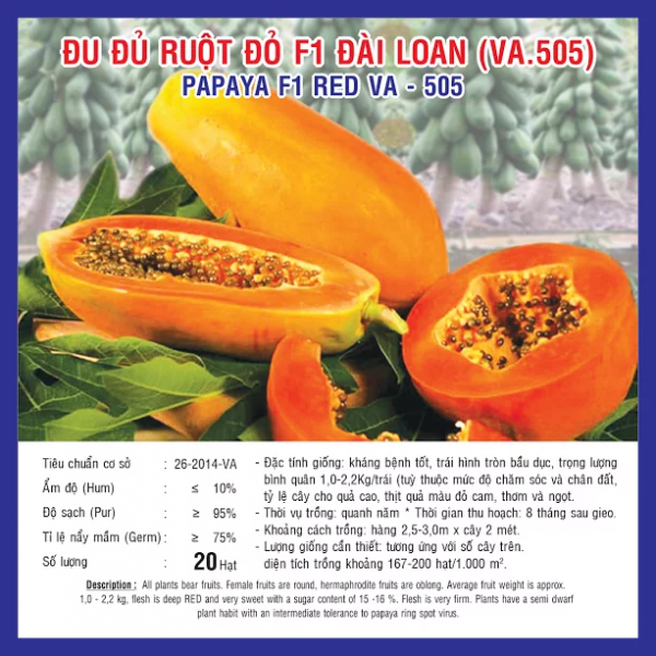HẠT GIỐNG ĐU ĐỦ RUỘT ĐỎ F1 ĐÀI LOAN