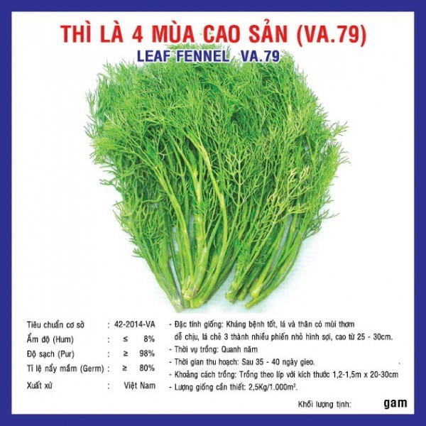 HẠT GIỐNG THÌ LÀ BỐN MÙA CAO SẢN