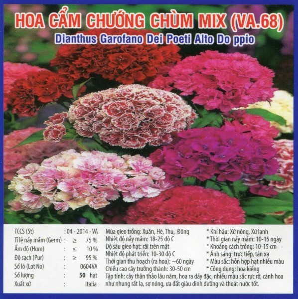 HẠT GIỐNG HOA CẨM CHƯỚNG CHÙM MIX