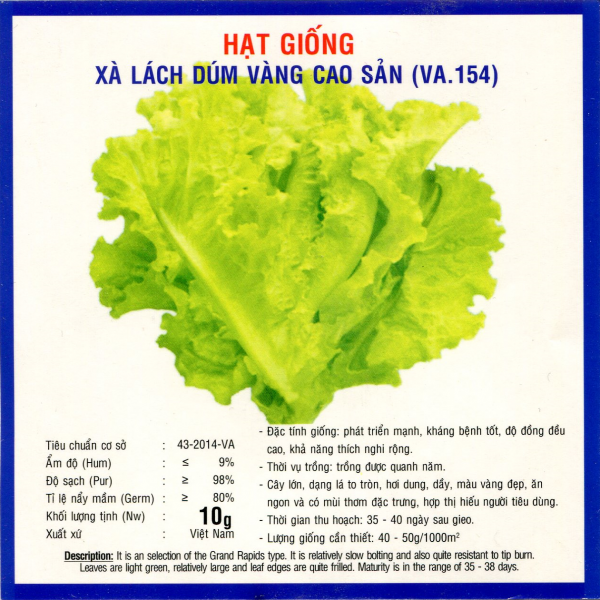 HẠT GIỐNG XÀ LÁCH DÚM VÀNG CAO SẢN