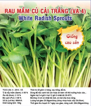 HẠT GIỐNG RAU MẦM CỦ CẢI TRẮNG