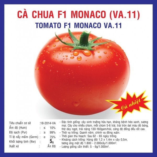 HẠT GIỐNG CÀ CHUA F1 MONACO