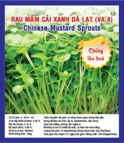 HẠT GIỐNG RAU MẦM CẢI XANH ĐÀ LẠT