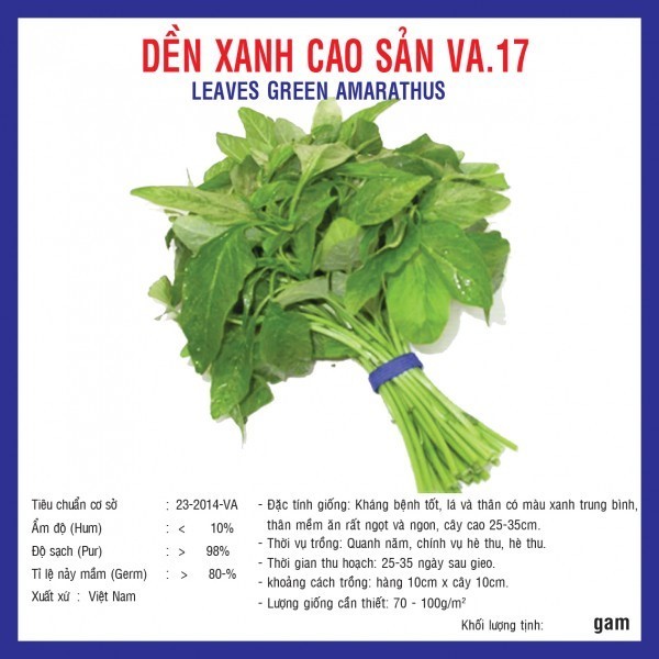 HẠT GIỐNG DỀN XANH CAO SẢN